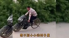 爆笑：是不是婚后的女人都一样，什么都不放在眼里，只管貌美如花