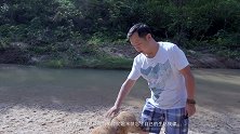 狗狗在中国：在日积月累的陪伴后，狗狗可以提醒我们的生活习惯