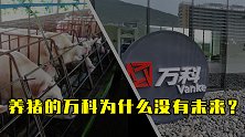 养猪的万科为什么没有未来？