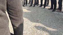 狗市比特横行霸道，惹是生非，狗狗看到它都怕了
