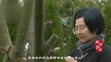 女特工牺牲60年后，骨灰终于被送回，传奇一生受万人敬仰！