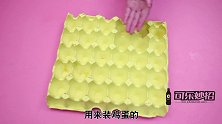 扔废品时，鸡蛋托盘一定要留下，放阳台太厉害了，全家看到都夸好
