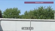 69岁女子称离异后想回村养老，房子却被父母原养子占用，原养子妻子：养父口头赠予