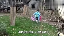 奶妈抢走摇摇马，熊猫宝宝生气了，下一秒差点笑哭