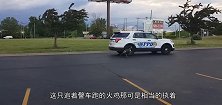 对着警车穷追不舍的火鸡是遇到了什么危险吗镜头拍下全过程