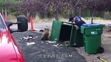 街边垃圾桶中有异样传出，男子好奇一探究竟，里面竟爬出3只猛兽