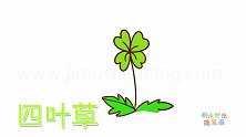 植物简笔画大全，画四叶草简笔画