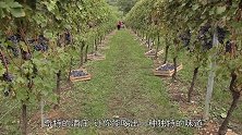 上天入地盘点世界上最奇葩的酒庄，海的味道我知道
