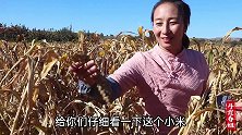 丰收的季节，收完谷子春姐做香菇肉拌面，大家干完活吃得真过瘾