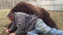 棕熊翻墙硬闯，狗子拦都拦不住，关键时刻女子徒手推熊
