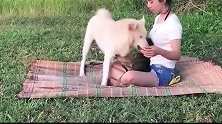 表姐把狗狗领到野外，看见小狗被表姐拉在怀里，大狗不干了