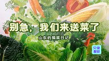 每天调运上百吨蔬菜，解决抢菜焦虑！山东菜篮子为啥这么大产量？