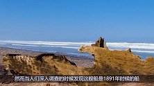 1891年的沉船，竟然在万米沙漠现身，专家也弄不懂
