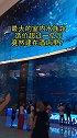 最大的室内水族馆，造价超过一亿元，竟然建造在酒店里？