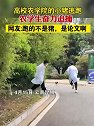 云南昆明：高校农学院的小猪逃跑，农学生奋力追捕
