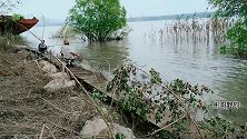 江湾深处好钓点，鳊鱼一斤多草鱼也很大，就是台钓挂底挂到哭