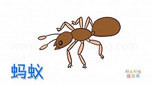 动物简笔画大全，画蚁王简笔画