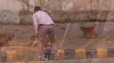 印度2岁小男孩，可以听懂猴子说话与之交流，被视为猴王转世！
