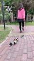 掉队一个捡一个