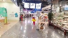 徐恩怡用自动售货机盒子做彩色气球游戏