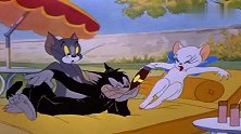 猫和老鼠：汤姆被黑猫一锤打成烤全猫，真是笑死我了！