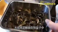 日本“人性化”处理泥鳅，先用保鲜膜“闷死”，下锅熬煮后再油炸