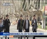 我国网民规模达8.29亿
