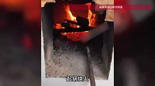 女生逗猪手被咬出大洞，气得起锅烧火复仇，网友：想吃猪肉直说