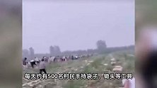 安徽一地几百名村民哄抢农场的土豆，承包商损失数十万