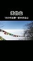 15小时直达彭州天台山，免费去看一场不输牛背的云海