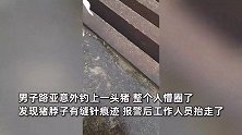 男子路亚钓上一头猪，整个人懵圈“猪脖有缝针”：除了鱼什么都能钓到