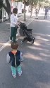 猫：我专车来接我了，有时间我来找你玩！