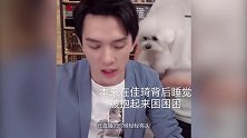 李佳琦什么时候卖狗?网友：每天都营业的狗，大家要组团去偷狗