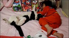 妈妈让喵星人陪女儿玩，忙完后进门一看，瞬间暖化了