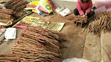 阿超家铁棍山药大丰收，院子里堆的满满当当，分拣打捆忙个不停！