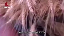 中国“一夫多妻”的村庄，最多可娶5个妻子，女孩十二岁当妈