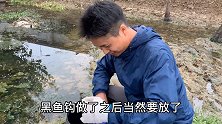 老淡找了一个废弃水塘，放新制作的黑鱼钩，期待能中个大货