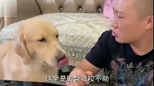 主人吃肉挑三拣四的还戏弄狗狗，最后狗狗直接把肉全部抢走