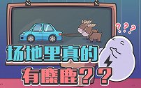 新车都爱搞的麋鹿测试是啥？