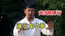 武当道长陈师行，现场演示龙华拳，出拳迅速行云流水！