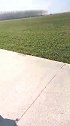 阳光明媚的一天