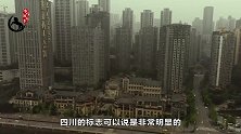 四川的这两座城市合并迹象明显，一旦实现，发展前景无限！