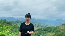 今天带你走进贵州蜂糖李之乡，看看这里的风景如何？