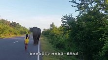 大象不小心踩坏洒水器，手忙脚乱想将其堵上，接下来的举动太可爱