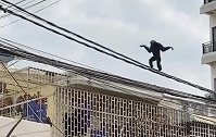 柬埔寨：一长臂猿在街头沿电线快速行走