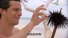 贝爷在海边真的是如鱼得水，早餐也是新鲜海胆！