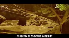悬崖峭壁发现悬棺，村民说它价值连城，专家考证墓主身份不一般