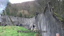 两只红毛猩猩打拳击，完全不按套路出牌，镜头记录搞笑一幕