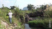 野钓：被困溶洞里的鱼都饿疯了，阿琪甩竿甩到手发软，收获太棒了