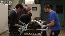 秘鲁发现仅3根手指的骸骨，疑似出现于5世纪，或是未知类人生物